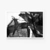The BLACK ＯR WHITE 208 art print features bold, overlapping brushstrokes with geometric shapes, dynamic splatters, and layered textures on a stark white background. It is framed in white.