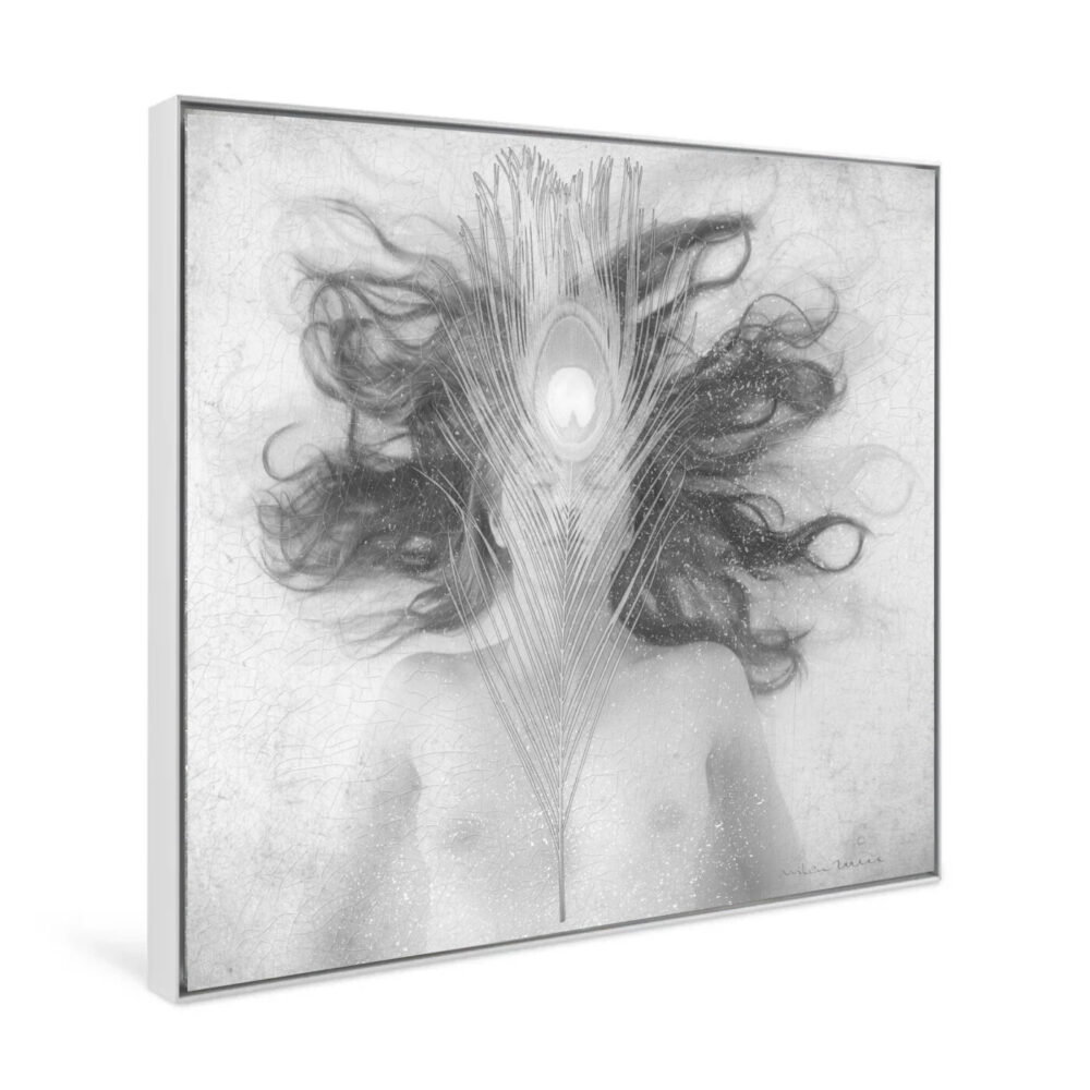 The Ingrávido 004 art print presents a black and white image of a person reclining, their long hair beautifully spread out. A peacock feather lies over their face, imparting a mystical serenity, framed by a subtle decorative border.
