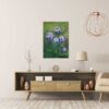 Anemone Coronaria - Image 4
