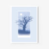 The Old Blue Tree - Image 3