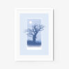 The Old Blue Tree - Image 5