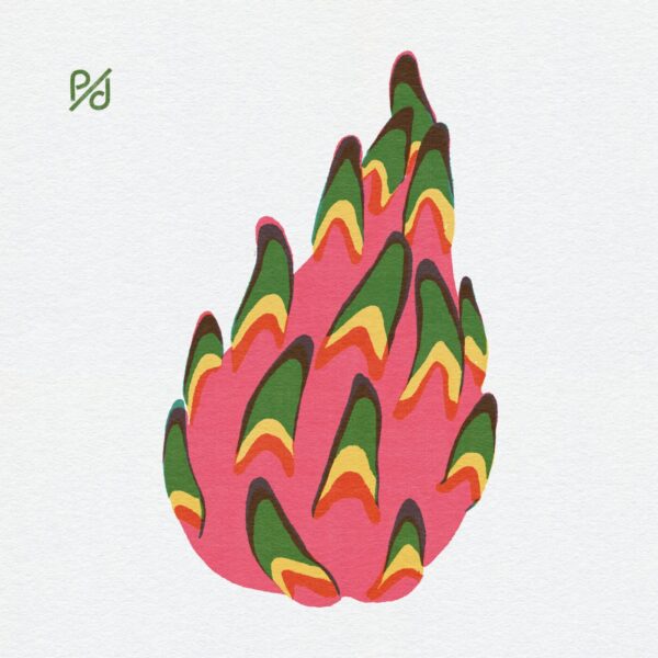 Art print titled Dragonfruit features a pink dragon fruit with stylized green, yellow, and orange scales against a light textured background. A small logo with a stylized P/D appears in the top left corner.