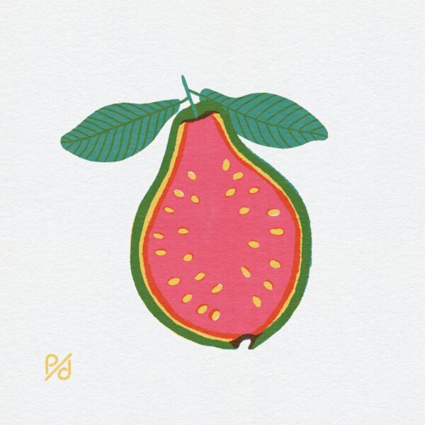 Art print of a sliced Guava showcasing a pink center, yellow seeds, and green rind. Two green leaves adorn the top against a light gray background.