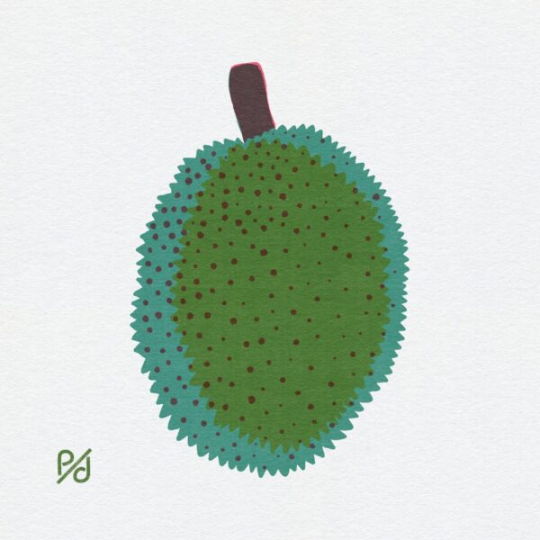 This art print showcases an illustration of a jackfruit with a green, spiky surface and a small brown stem, centered on a plain white background.