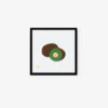 Kiwi - Image 2