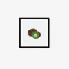 Kiwi - Image 4