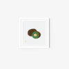 Kiwi - Image 5