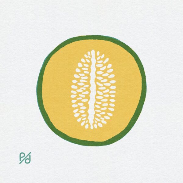Honeydew Melon