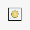 Honeydew Melon - Image 2