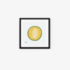 Honeydew Melon - Image 4