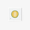 Honeydew Melon - Image 3