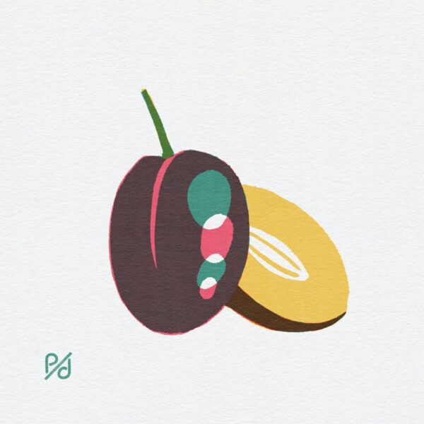 Plum