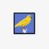 Yellowhammer - Image 2