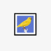 Yellowhammer - Image 5