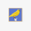 Yellowhammer - Image 4