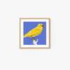Yellowhammer - Image 7