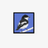 Pied Flycatcher - Image 2