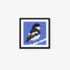 Pied Flycatcher - Image 5
