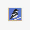 Pied Flycatcher - Image 4