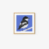 Pied Flycatcher - Image 7