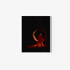 The Sun, the Fire, the Blood - Image 4