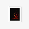 The Sun, the Fire, the Blood - Image 7