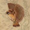 Fan - Image 8