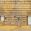 Forest of Wisdom Library - Image 8