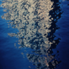 Illusion - Image 3