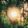 Light - Image 3