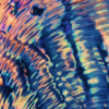 Shine - Image 3