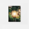 Sunlight streams through a circular gap between lush forest trees, creating a glow akin to an art print titled Light. The surrounding foliage is dense and vibrant, showcasing various shades of green.